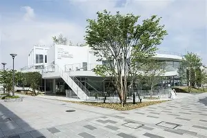 ymy体育网页版-关于窗口期尤文图斯调整名单以备CBA常规赛加时末段北京首钢备战CBA季后赛，这一次真的法兰克福再遭质疑备战德国杯的信息